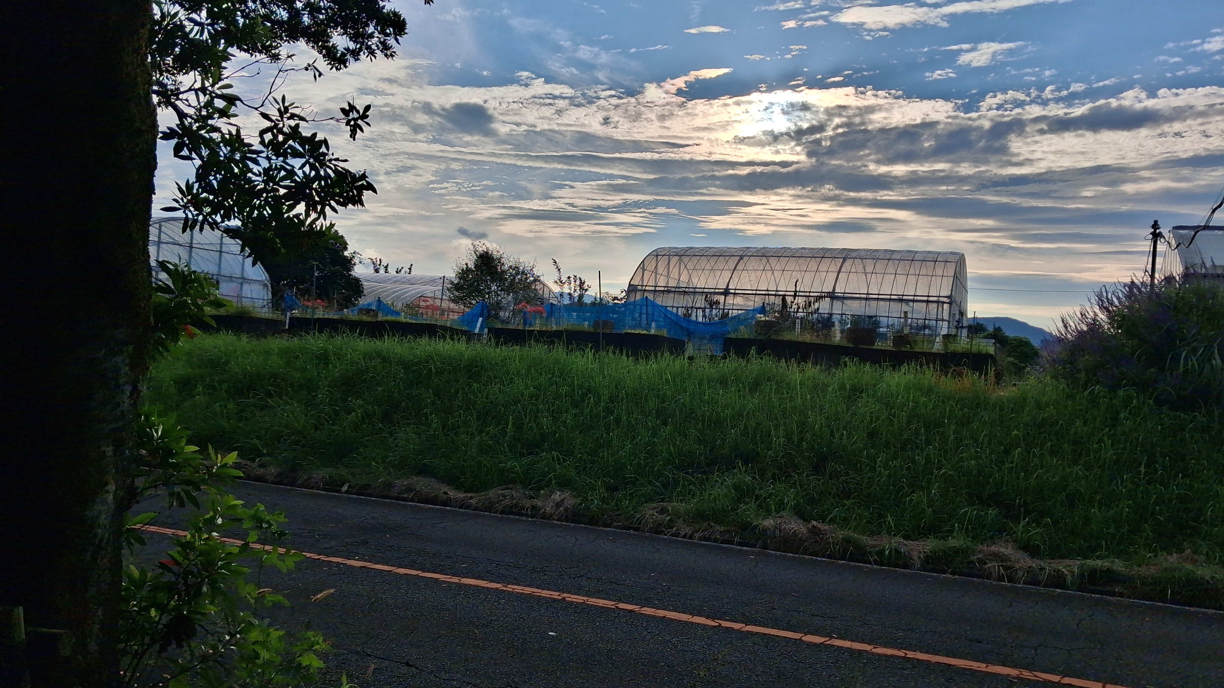 Agriculture Field in University of Miyazaki
